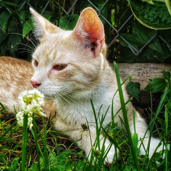 Meet your Posher, Stephanie - Picture 2 of 4